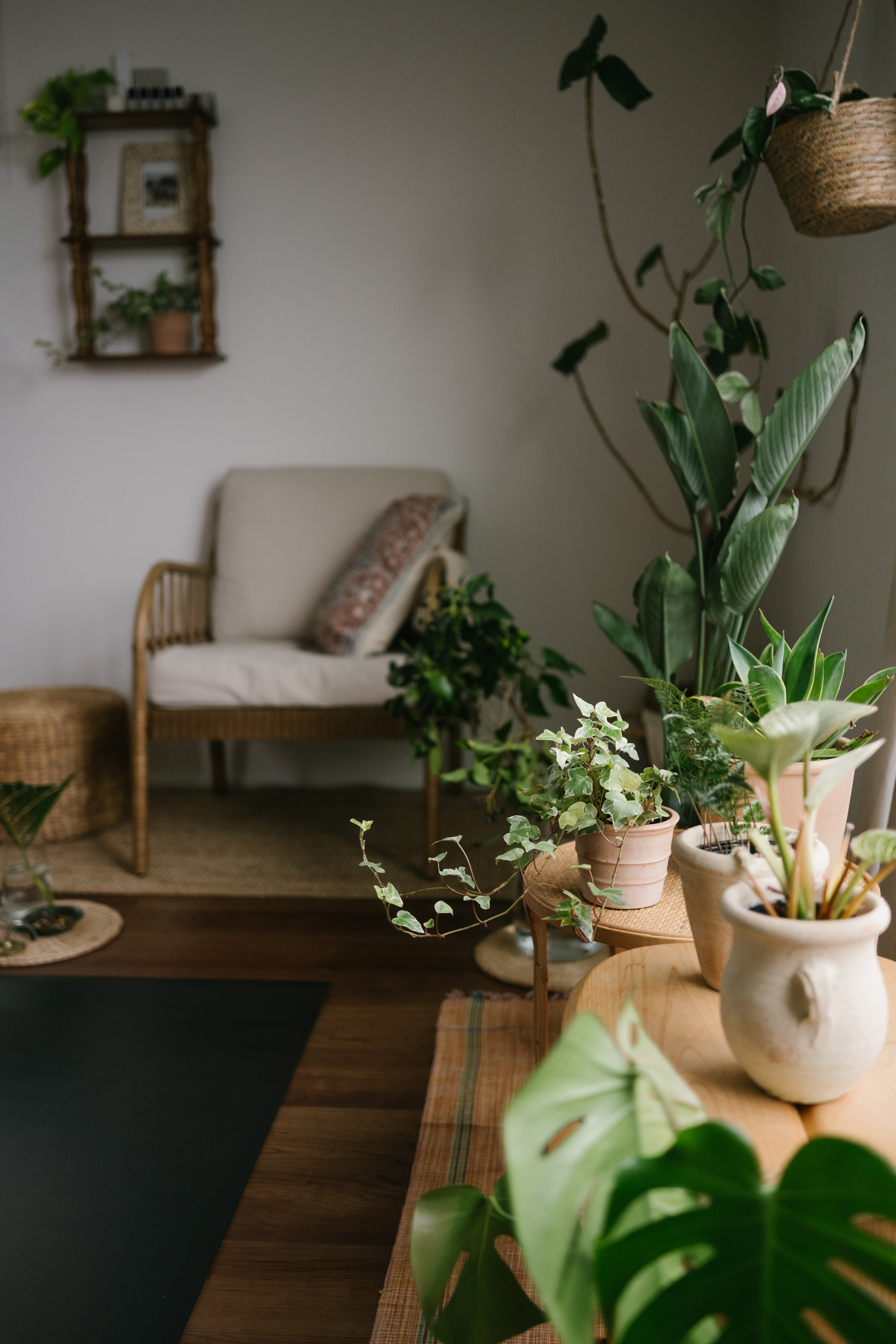 観葉植物に囲まれたヨガのある部屋